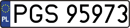 PGS95973