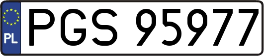 PGS95977