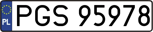 PGS95978