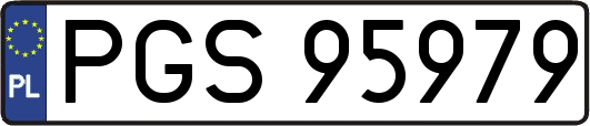 PGS95979