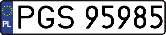 PGS95985