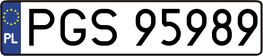 PGS95989