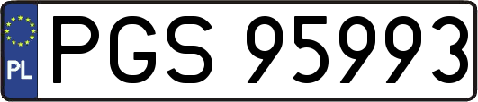 PGS95993