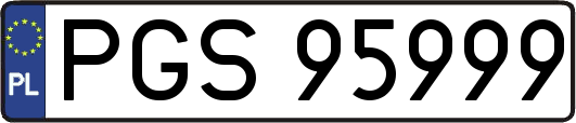 PGS95999