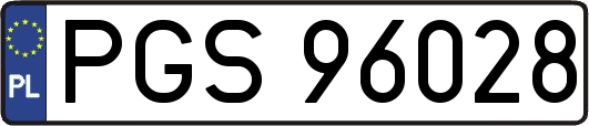 PGS96028