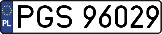 PGS96029