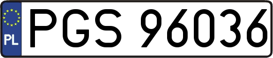 PGS96036