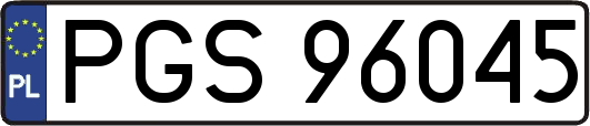 PGS96045