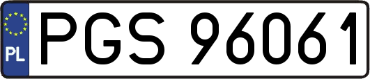PGS96061