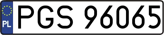PGS96065