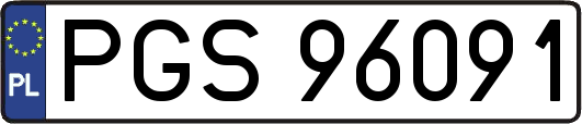 PGS96091