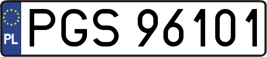 PGS96101