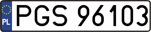 PGS96103