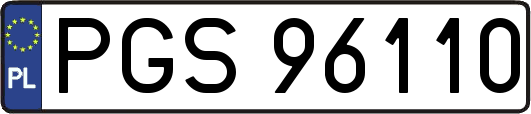 PGS96110