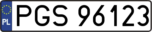 PGS96123