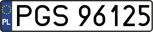 PGS96125