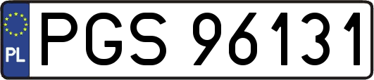 PGS96131