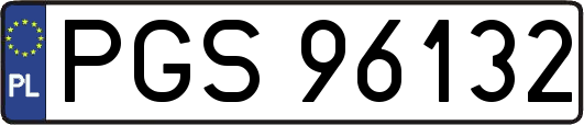 PGS96132