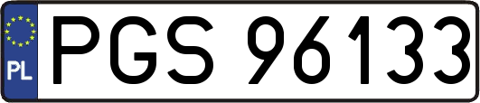 PGS96133
