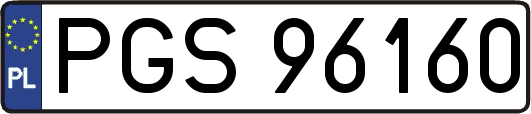 PGS96160