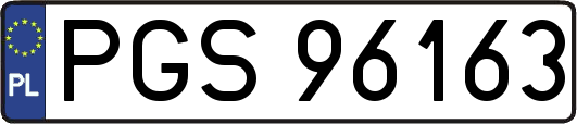 PGS96163
