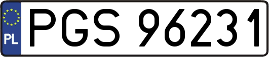 PGS96231