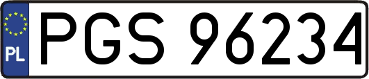PGS96234