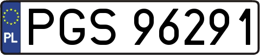 PGS96291