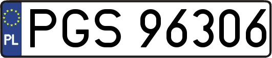 PGS96306