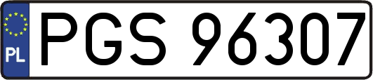 PGS96307