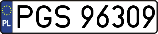 PGS96309