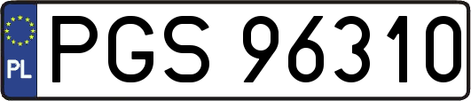 PGS96310