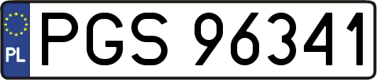 PGS96341