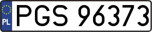 PGS96373