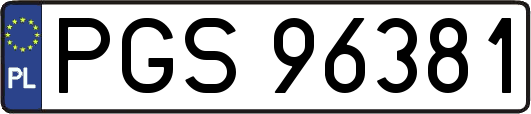 PGS96381