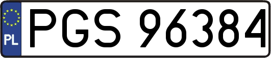PGS96384