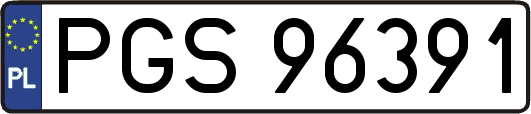 PGS96391