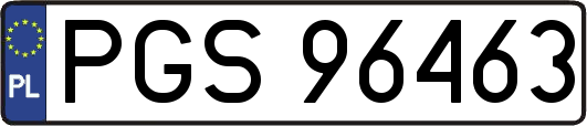 PGS96463
