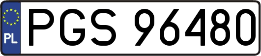 PGS96480