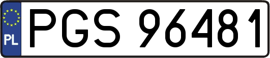 PGS96481