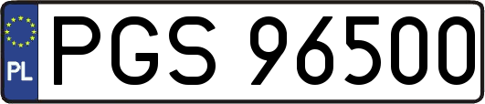 PGS96500