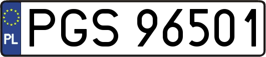 PGS96501