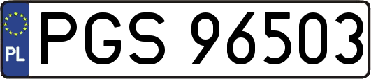 PGS96503