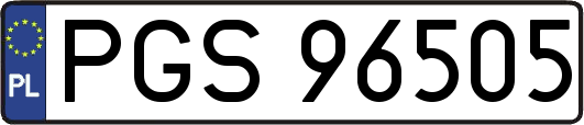 PGS96505