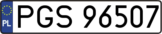 PGS96507