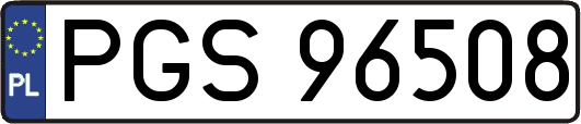 PGS96508