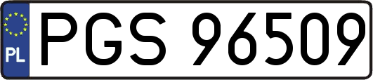 PGS96509