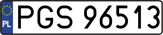 PGS96513