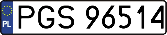PGS96514