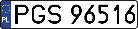 PGS96516